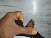 Madan51 avatar
