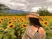 Maddie_fields avatar