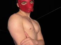 MagicFoxx avatar