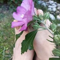 Mandra_is_a_whore avatar