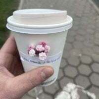 Maria-Cristi11 avatar