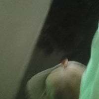 Martinandres777 avatar