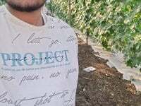 MasterShubham04 avatar