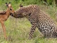 Matinyelamadoda avatar