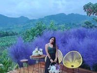 MayMay33 avatar