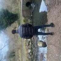 Meridian_Inhaler avatar