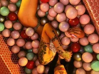 Mia_Lux__ avatar
