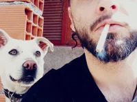 Mikevors avatar