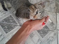 Mineiro_hot4i20 avatar