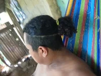 MolarRegimen avatar