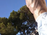 MontanaLives avatar