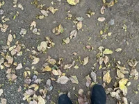 Nagpurdaddy27 avatar