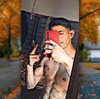 Negritovergonn avatar