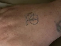 NexusStarStriker avatar