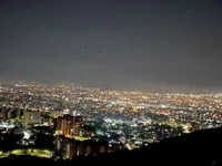 NinfomanoLOGAN avatar