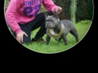 NoduledBuddy avatar