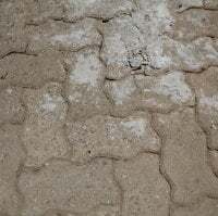 Novinhosafadt avatar