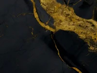 Numi2610 avatar