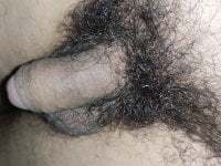 Panisbeauty avatar