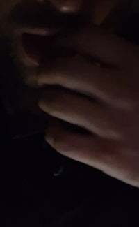 Pelohuszar avatar