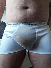 PeludoBrasil avatar
