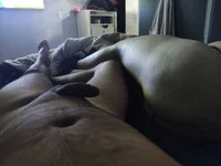 Perro-Venudo avatar