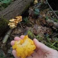 Personal_Bulldozer avatar