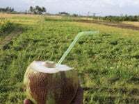 Pierced-couple avatar