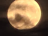 Pink_head_dick87 avatar