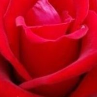 Pksingh8577 avatar
