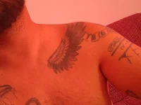 Pollon2789 avatar