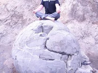 PostalDawn72 avatar