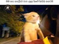 Prime_X avatar
