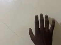 Pussyking254 avatar