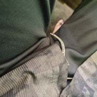 RDxxxBIKI19xx avatar