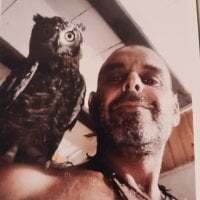 Raimond938_iml avatar