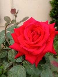 Rajat129 avatar