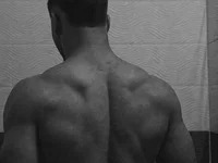 Rayas-44 avatar