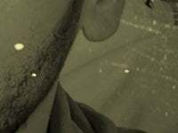 ReinedRasher avatar