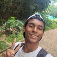 RioStarkx avatar