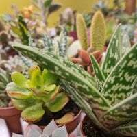 Roger_Jolly23 avatar