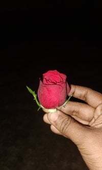 Romantic_boy00 avatar