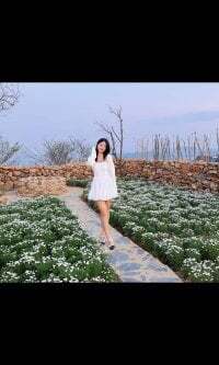 Rose217 avatar