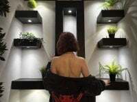 Roxy_foxi avatar