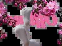 SAKURA_MAEDA avatar