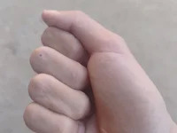 Safado94 avatar