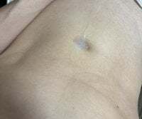 Sanokun1-23447 avatar