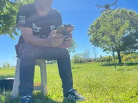 Secreto43 avatar