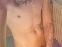 SeptalGadgetry avatar