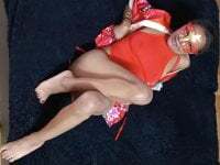 Sexa_poly avatar